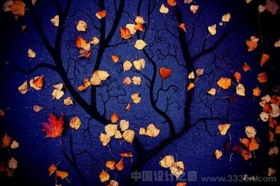 實驗攝影新銳另類作品欣賞