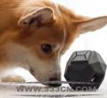 Up Dog ToysʳOӋ